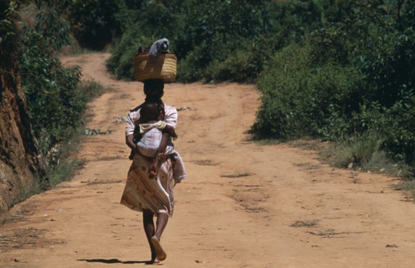 MADAGASCAR, People, Women, Near Ambositra. Portrait of a woman carrying a baby in a sling on her