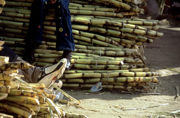 MEXICO, Oaxaca State, Oaxaca, "At the back of Oaxaca City lies a large market where it is possible