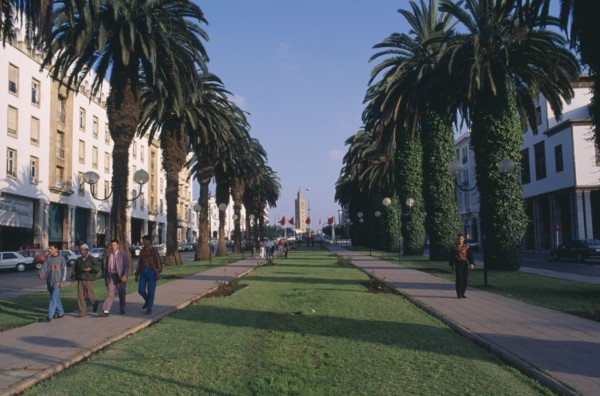 MOROCCO, Rabat, City centre and Avenue Mohammed V lined by trees and leading towards mosque.