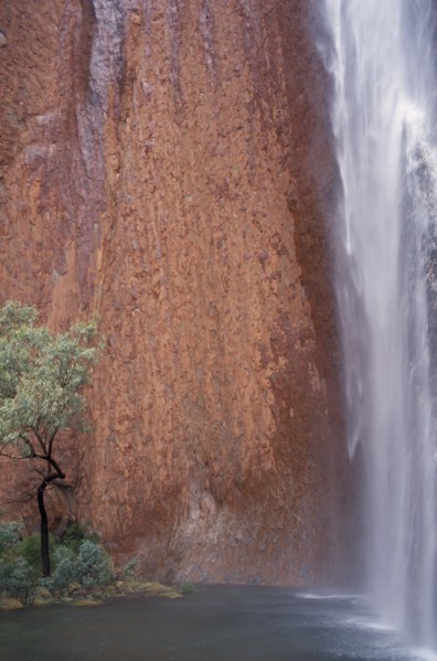 AUSTRALIA, Northern, Uluru, Ayers Rock. Maggie Springs. Cascading waterfall after torrential
