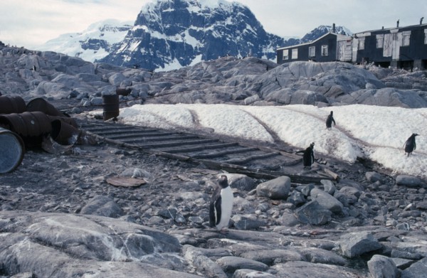 ANTARCTICA, Peninsula Region,  Goudier Island, Port Lockroy. British Base abandoned in 1964 with