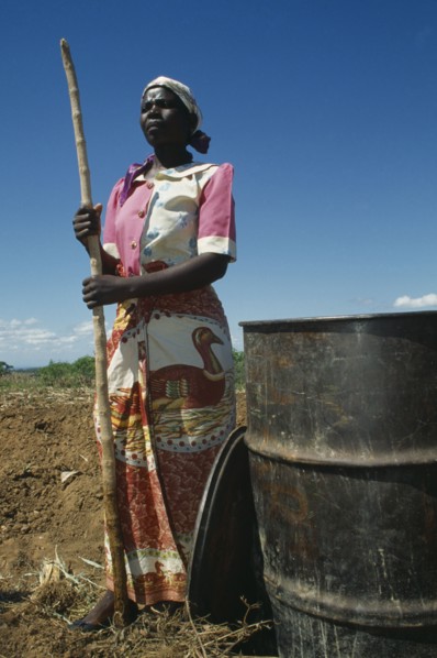 MALAWI, Farming, Female worker on LOMADEF Lipangwe Organic Manure Demonstration Farm using chicken