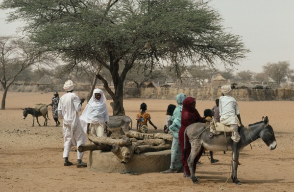 SUDAN, Kordofan, North, People using donkey to help draw water from well.
