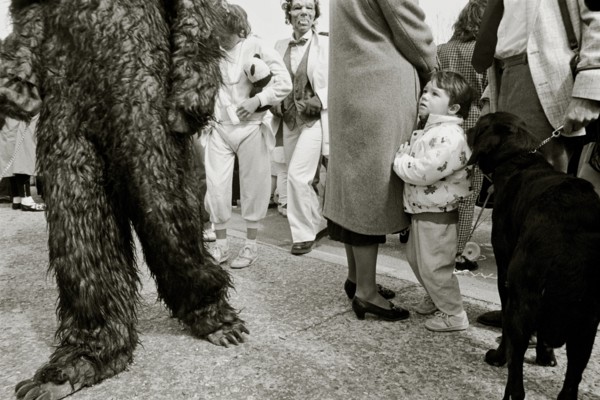 FRANCE, Bouches du Rhone, Arles, "A child watches as the crowd passes wearing fancy dress during a