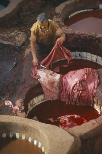 MOROCCO, Fes, Chouwara Tanneries.  Man working in the tanner’s pits using red dye.