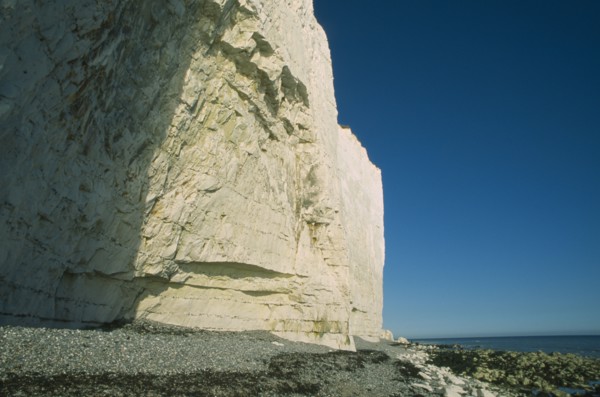 ENGLAND, East Sussex, Birling Gap, Base of cliff face partially in shadow with rockpools and pebble