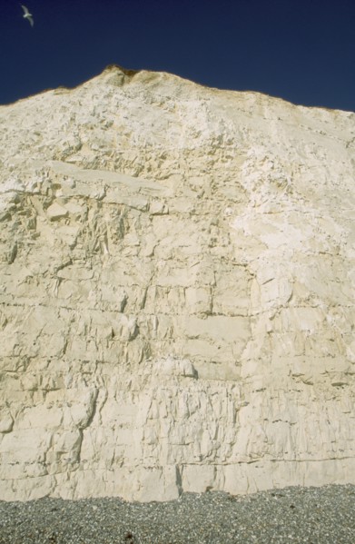 ENGLAND, East Sussex, Birling Gap, Section of cliff face.