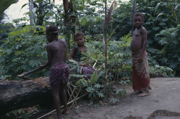 CONGO, Ituri Forest, Pygmy group in forest clearing.