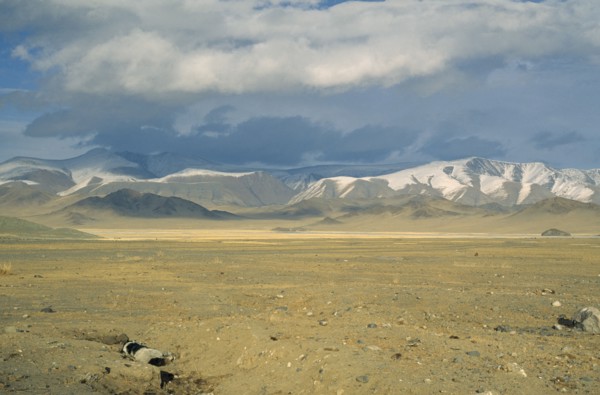 MONGOLIA, Bayan Olgii Province, Open steppe lands near Kazakh inhabited Deluun. Dead animal in a