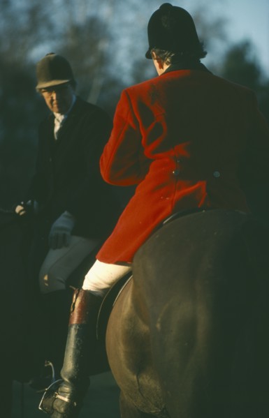 SPORT, Equestrian, Foxhunting, Riders on horseback with male rider wearing traditional red coat