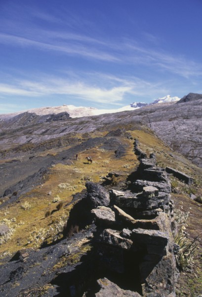 COLOMBIA, Cordillera, Boyaca, "Southern entrance to Sierra Nevada de Cocuy, with muleteer."