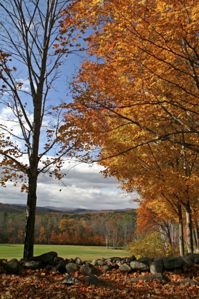 USA, New Hampshire, Meredith, Autumnal foliage