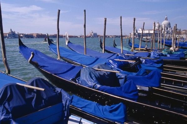 ITALY, Veneto, Venice, Line of gondolas moored at Piazza San Marco jetty with Santa Maria della