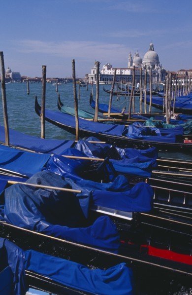 ITALY, Veneto, Venice, Line of gondolas moored at Piazza San Marco jetty with Santa Maria della