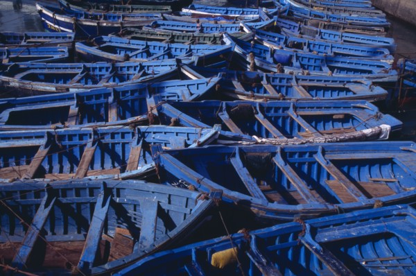 MOROCCO, Essaouira, Blue and green fishing boats moored closely together.
