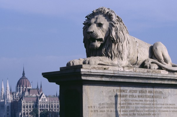HUNGARY, Budapest, Stone statue of lion on Chain Bridge with Parliament building in distance behind