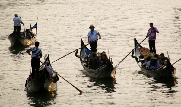 ITALY, Veneto, Venice, Gondoliers carrying sightseeing tourists on their gondolas at sunset on the