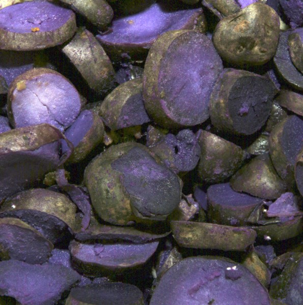 ENGLAND, Bristol, Bristol, Purple Potatoes - Pink Fur Apples