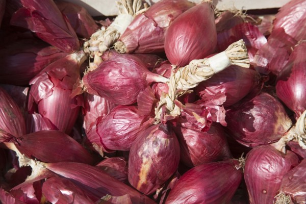 ENGLAND, West Sussex, Shoreham-by-Sea, French Market. Detail of red onions on market stall