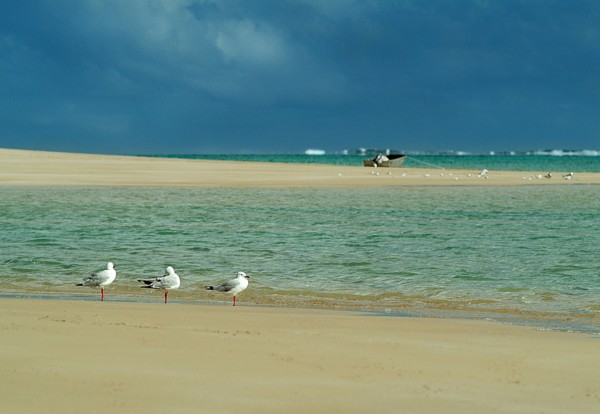 Australia, Western Australia, Lefroy Bay, Lefroy Bay with Indian Ocean and Ningaloo reef behind.
