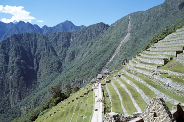 PERU, Cusco Department, Machu Picchu, Terraces on Machu Picchu mountainside
