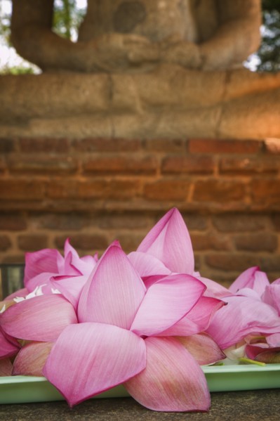 SRI LANKA, Anuradhapura, "Close-up of offerings left at the Samadhi Buddha Statue, regarded as one