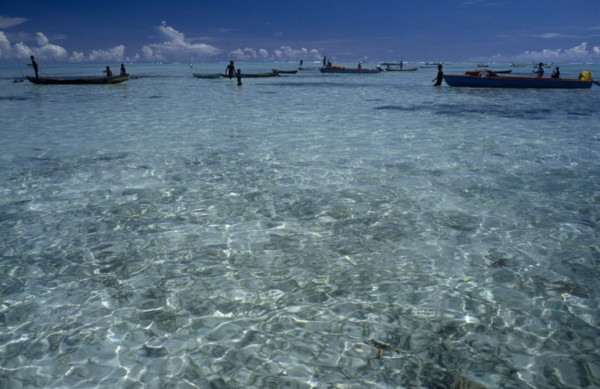 PACIFIC ISLANDS, Melanesia, Solomon Islands, "Malaita Province, Lau Lagoon. Distant fishing team