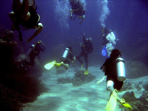 Australia, Queensland, Cairns, "Divers converge on the instructor during dive on Agincourt Reef,