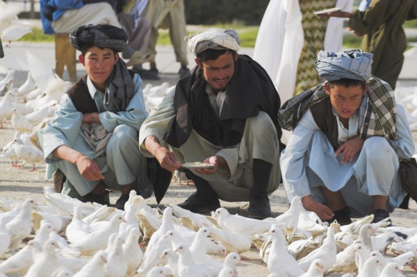 AFGHANISTAN, Mazar-I-Sharif, "Man feeding famous white pigeons at Shrine of Hazrat Ali (who was