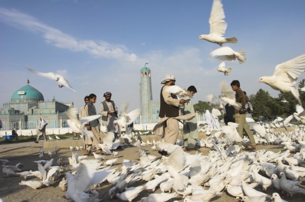 AFGHANISTAN, Mazar-I-Sharif, "Shrine of Hazrat Ali (who was assissinated in 661) This shrine was