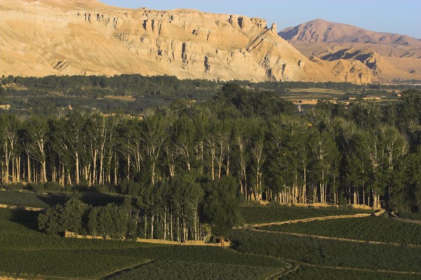 AFGHANISTAN, Bamiyan Province, Bamiyan, Cliffs of the valley