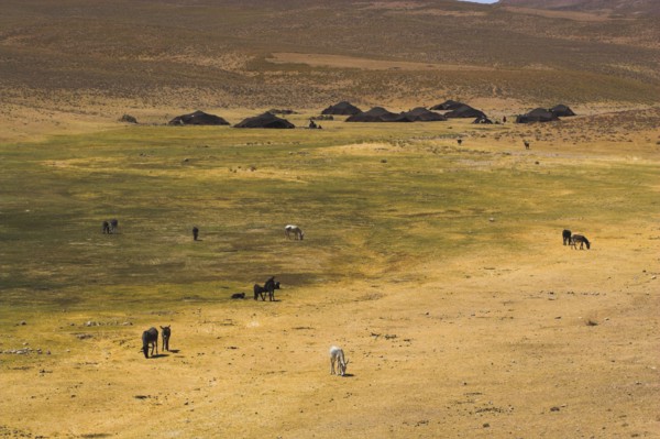 AFGHANISTAN, Desert, Aimaq nomad camp between Chakhcharan and Jam