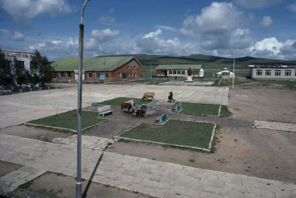 MONGOLIA, Gurwanbayan, Town centre with cattle grazing in public square and two people with
