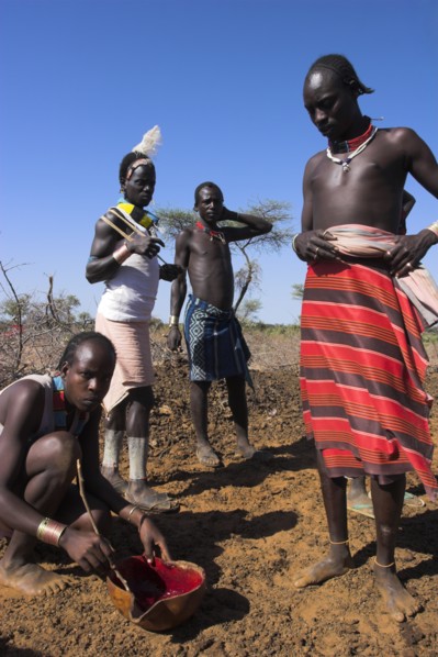 ETHIOPIA, Lower Omo Valley, Tumi, "Dombo village, Hamer man stirring cows bood ready for drinking"