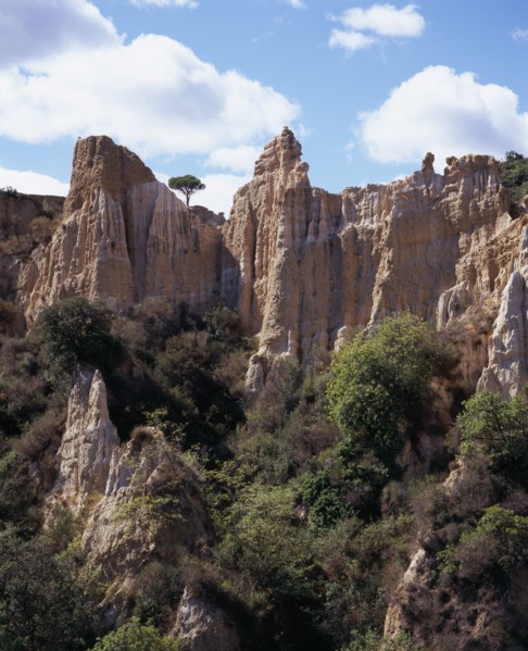 FRANCE, Languedoc-Roussillon, Pyrenees-Orientales, Ille Sur Tet.  Sandstone area known as Orgues.