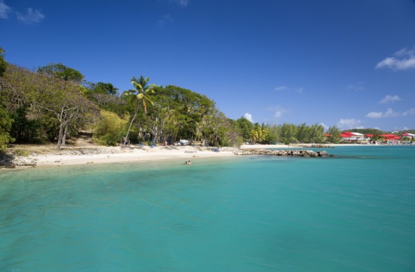 WEST INDIES, St Lucia, Gros Islet, Pigeon Island National Historic Park Tourists on the beach lined