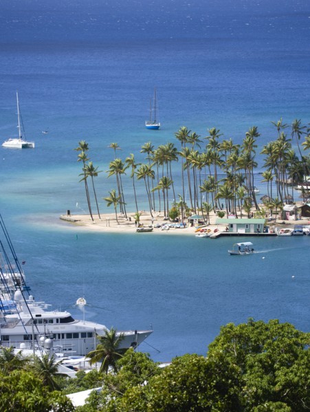 WEST INDIES, St Lucia, Castries , Marigot Bay Yachts at anchor beyond the small coconut palm tree