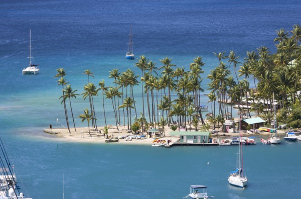 WEST INDIES, St Lucia, Castries , Marigot Bay Yachts at anchor beyond the small coconut palm tree