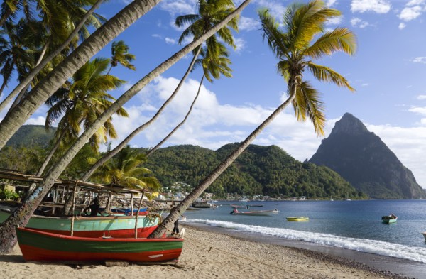 WEST INDIES, St Lucia, Soufriere, Fishing boats on the beach lined with coconut palm trees with the