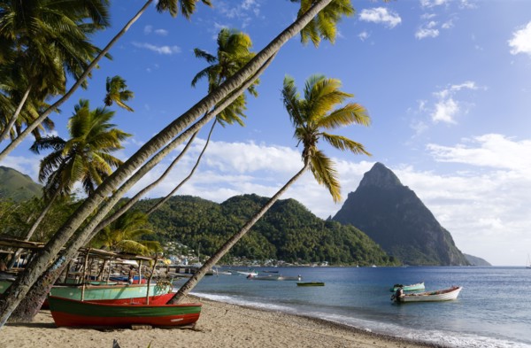 WEST INDIES, St Lucia, Soufriere, Fishing boats on the beach lined with coconut palm trees with the