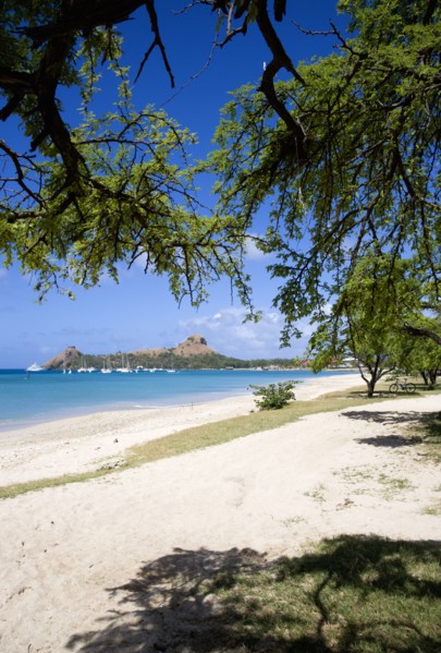 WEST INDIES, St Lucia, Gros Islet , Pigeon Island National Historic Park seen through trees from a