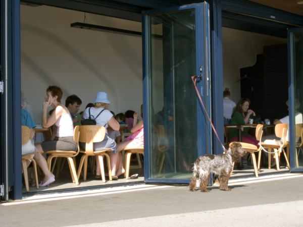 ENGLAND, West Sussex, Littlehampton, Customers sitting at tables inside the East Beach Cafe