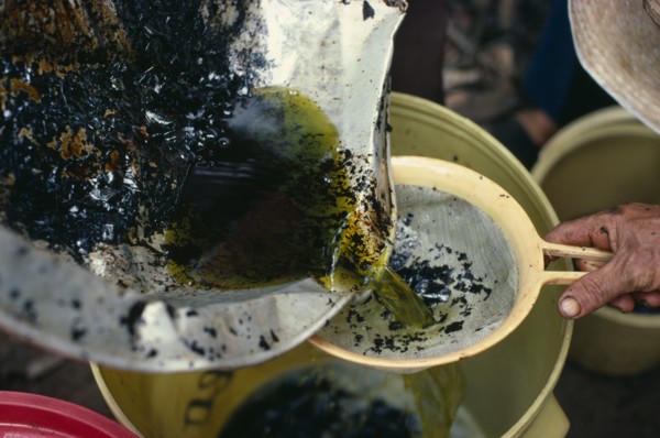 COLOMBIA, Vaupes, "Coca leaves soaked in petrol for 24 hours to further leach out cocaine alkaloid.