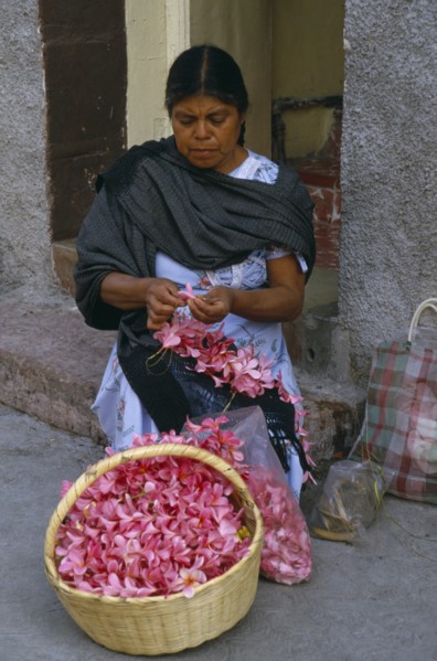 MEXICO, Guerrero, Woman flower seller sitting on step in street threading pink flower heads into