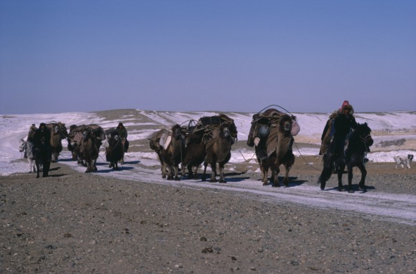 20088802 CHINA Xinjiang Province People Kazakh minority people moving camp riding horses and leading pack camels.