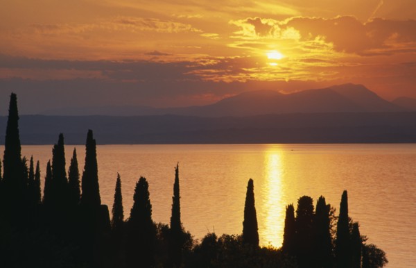 ITALY, Lombardy, Lake Garda , Sunset over Lake Garda from Punta San Vigilio with trees silhouetted