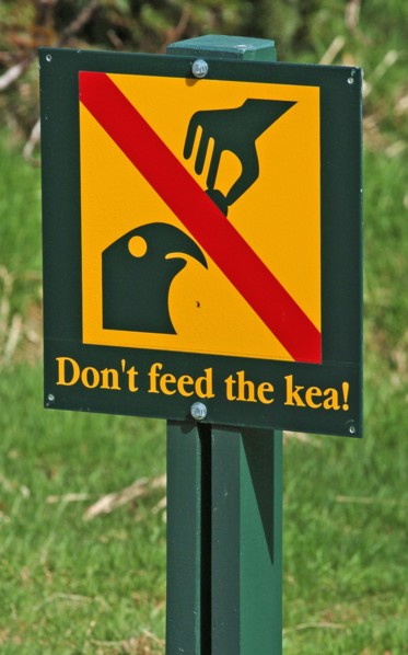 NEW ZEALAND, SOUTH ISLAND, FRANZ JOSEF, "A DO NOT FEED THE KEA PARROT SIGN AT THE FRANZ JOSEF