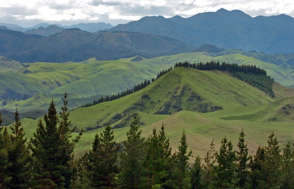 NEW ZEALAND, NORTH ISLAND, HAWKES BAY, "NAPIER, VIEW OF THE PAKAUTUTU MOUNTAINS LOOKING INLAND