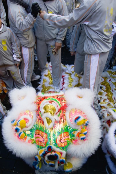 ENGLAND, London, Chinatown, Lion Dance troupe performing in Gerrard Street during Chinese New Year