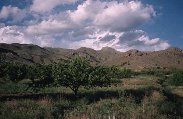 ARMENIA, Vaik Region, Agriculture, Landscape with apricot orchard.